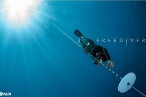 padi freediver course